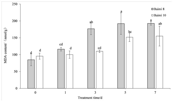 Response of malondialdehyde (MDA) to waterlogging stress in pumpkin leaves.