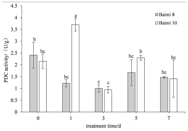 Response of pyruvate decarboxylase (PDC) to waterlogging stress in pumpkin roots.