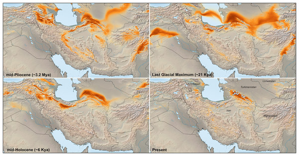 Species distribution model (SDM) map based on geolocation points of Oligodon transcaspicus comb. et stat. nov. from Iran and Turkmenistan.