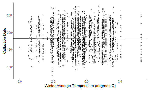Plot of collection date vs winter average temperatures for all species.