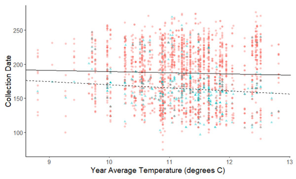 Plot of collection date vs average yearly temperatures for herbaceous plants and woody plants species.