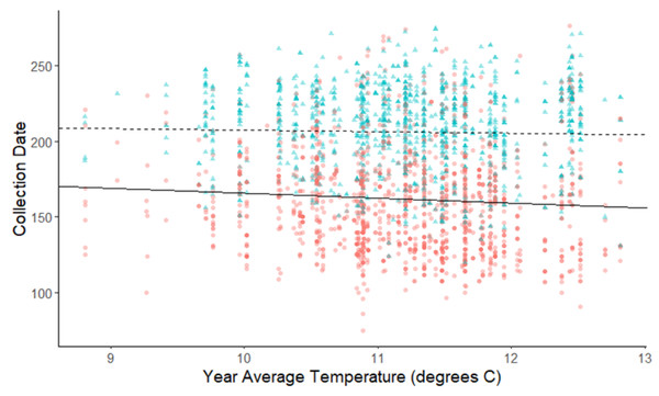 Plot of collection date vs average yearly temperatures for spring-blooming and summer-blooming species.