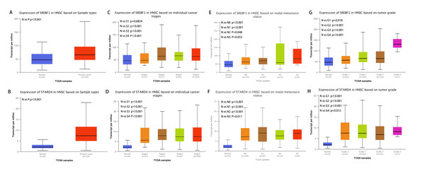 Correlation of SREBF1 and STARD4 mRNA expression with clinicopathological parameters in HNSC patients from the UALCAN database.