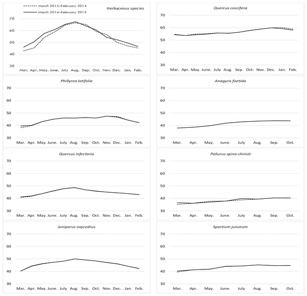 Month wise variation in NDF content in herbaceous and shrub species in rangelands.