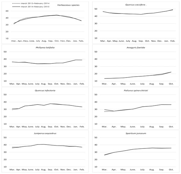 Month wise variation in ADF content in herbaceous and shrub species in rangelands.