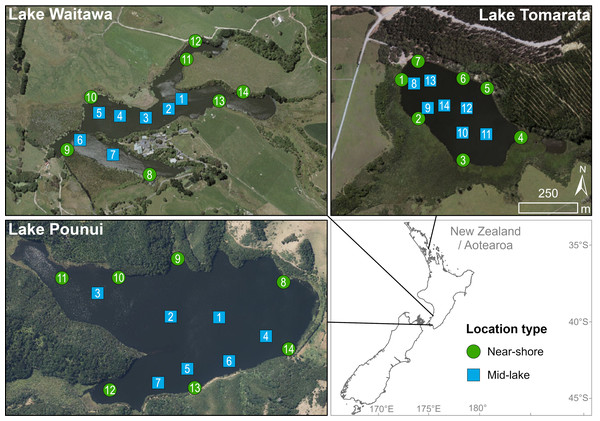 Sampling sites and location (near-shore vs mid-lake) in each lake.