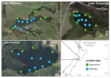 Optimal sample type and number vary in small shallow lakes when