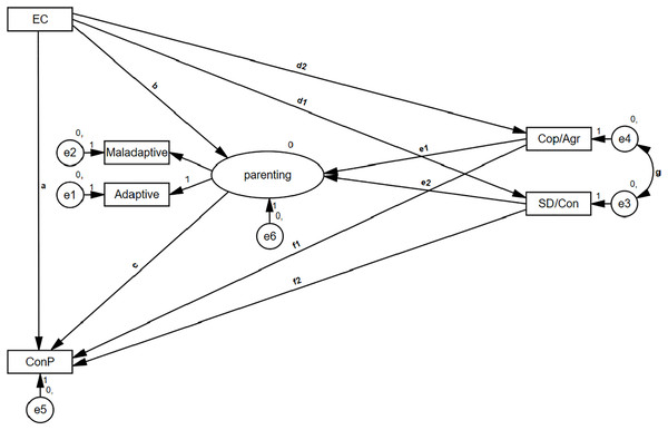 Hypothesized model.