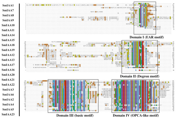Multiple sequence alignment analysis of SmIAA family proteins.