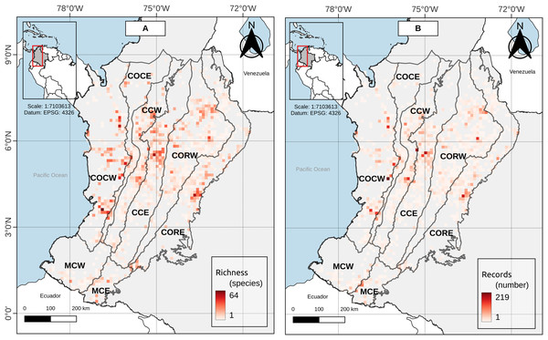 (A) Species richness and (B) record richness in the study area.