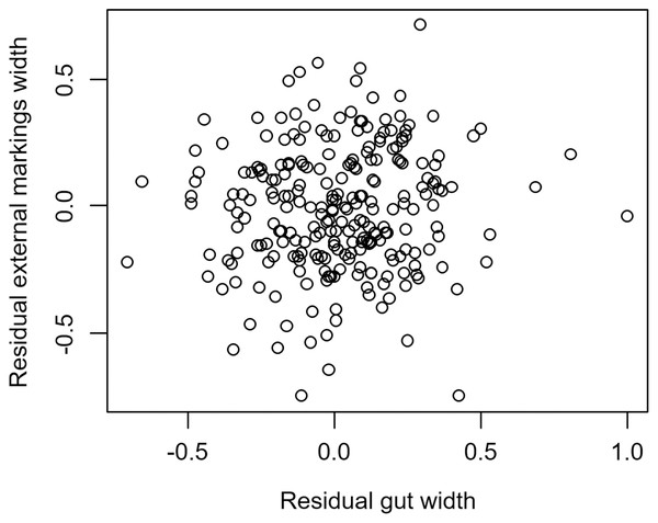 Residual external gut markings vs. residual gut width in Aratus pisonii.