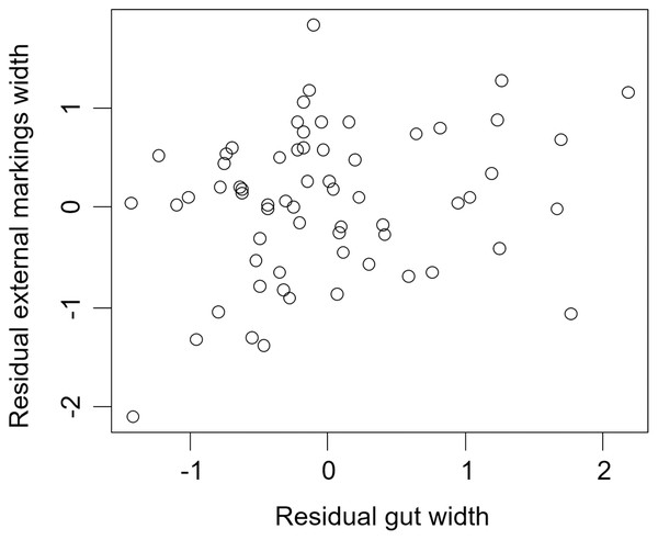 Residual external gut markings vs. residual gut width for Carcinus maenas.