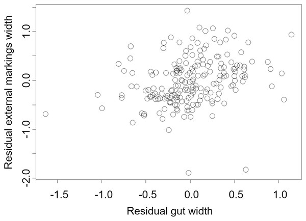 Residual external gut markings vs. residual gut width for Hemigrapsus sanguineus.