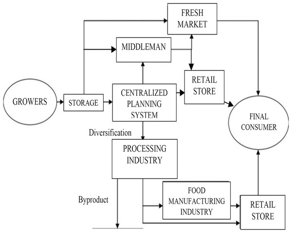 Flow diagram of the agricultural food supply chain in Malaysia that involved huge range of activities from grower, wholesaler and manufacturer before reaching to the final consumer.