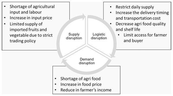 The impact of COVID-19 on the agri-food supply chain due to disruption from the supply, logistic and demand sides, resulted food shortage and food price spikes.