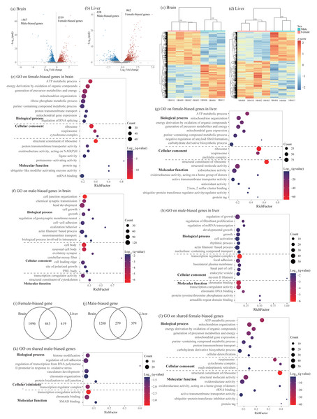 Identification and characterization of sex-biased genes.