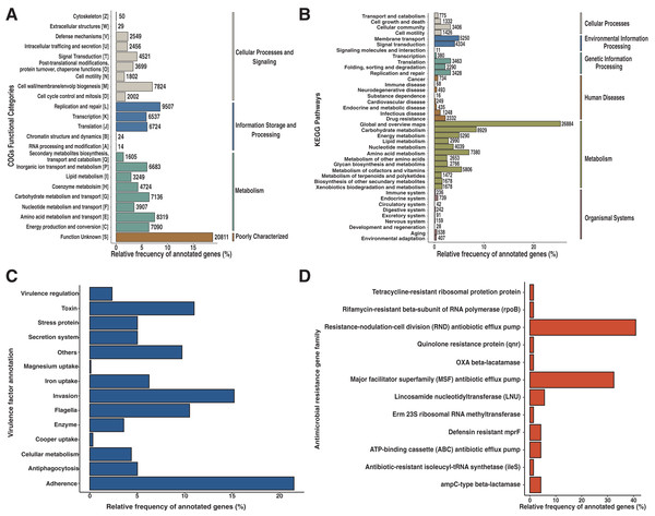Functional characterization of Andean condor gut microbiome.