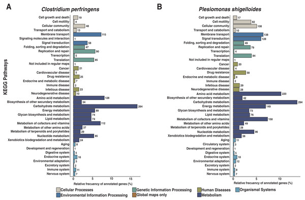 Functional characterization of KEGG pathways level of C. perfringens and P. shigelloides genome assemblies.