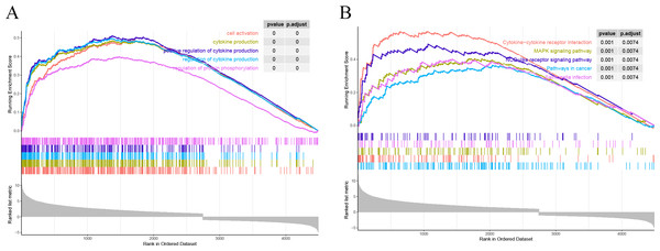 Results of GSEA. (A) GSEA enrichment analysis based on GO. (B) GSEA enrichment analysis based on KEGG.