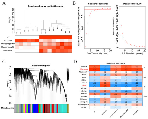 (A–D) WGCNA analysis.