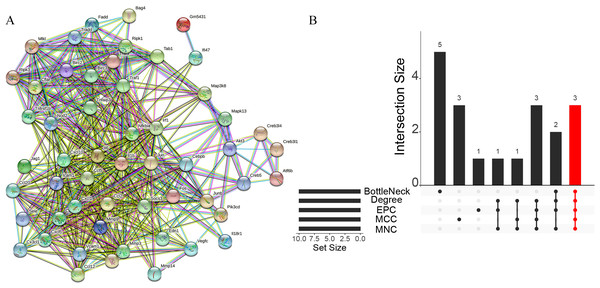 Acquisition of key genes.