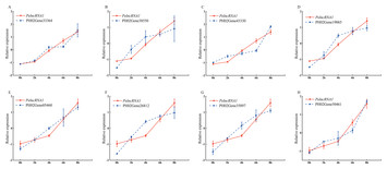 A Long Non-coding RNA PelncRNA1 Is Involved In Phyllostachys Edulis ...