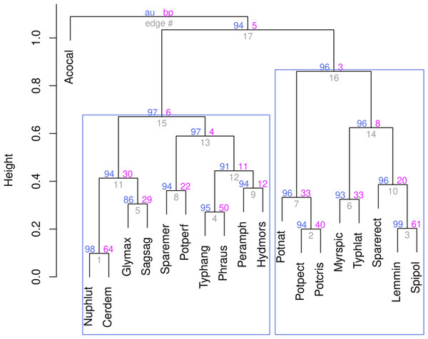 Ward’s hierarchical clustering of aquatic plant species.