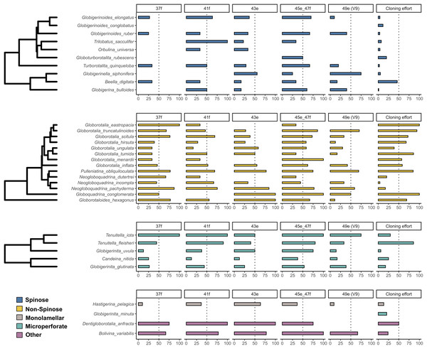 Incidence of intragenomic variability in planktonic foraminifera species.