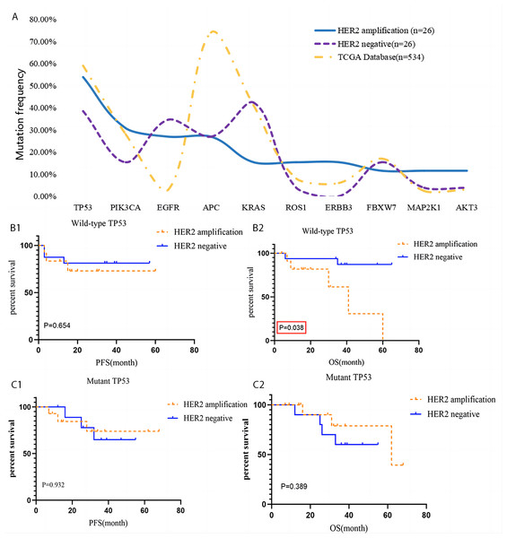 Gene mutation of HACC and HER2-negative colorectal cancer, and Kaplan–Meier survival analysis of TP 53.