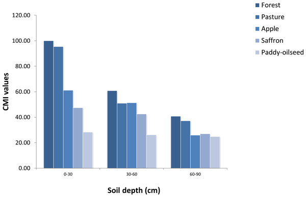 CMI values of different LUSs at varying depths (Reference land use: Forest).