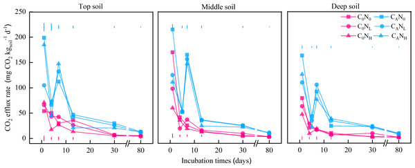 CO2 efflux rate (mg CO2
                        
                        ${\mathrm{kg}}_{\mathrm{soil}}^{-1}{\mathrm{d}}^{-1}$
                        
                           
                              
                                 kg
                              
                              
                                 soil
                              
                              
                                 −
                                 1
                              
                           
                           
                              
                                 d
                              
                              
                                 −
                                 1
                              
                           
                        
                     ) from the top soil, middle soil, and deep soil in each treatment over the entire incubation period.