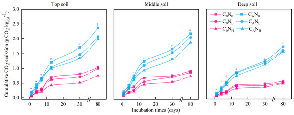 Cumulative CO2 emission (g CO2
                        
                        ${\mathrm{kg}}_{\mathrm{soil}}^{-1}$
                        
                           
                              
                                 kg
                              
                              
                                 soil
                              
                              
                                 −
                                 1
                              
                           
                        
                     ) from the top soil, middle soil, and deep soil in each treatment over the entire incubation period.