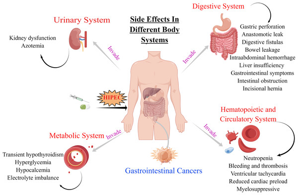 Side effects of HIPEC for GI cancers in digestive, hematopoietic and circulatory, urinary and metabolic systems.