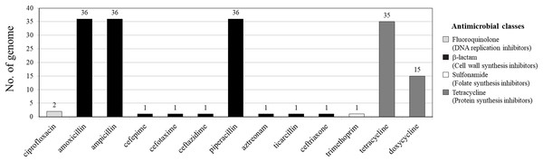 Antimicrobial resistance gene (ARG) profiles of 36 Vibrio parahaemolyticus genomes detected with ResFinder.