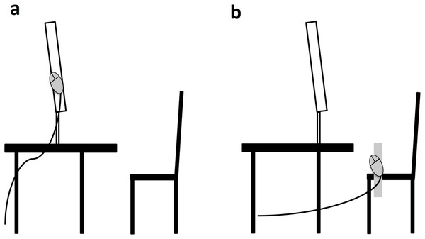 Basic/schematic setup for the monitor (A) and body (B) condition.