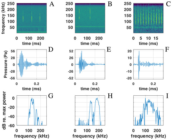 Examples of NBHF clicks recorded by QHB.