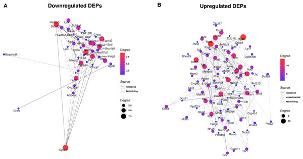 Protein-protein interaction analysis of downregulated (A) and upregulated (B) DEPs.