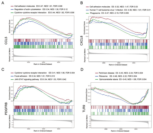 GSEA analysis of the immune-related hub genes.