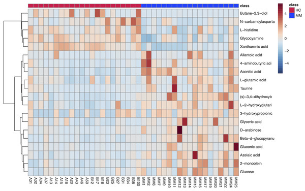 Heat map of 20 differentially expressed metabolites between the malignant mesothelioma and healthy control groups.