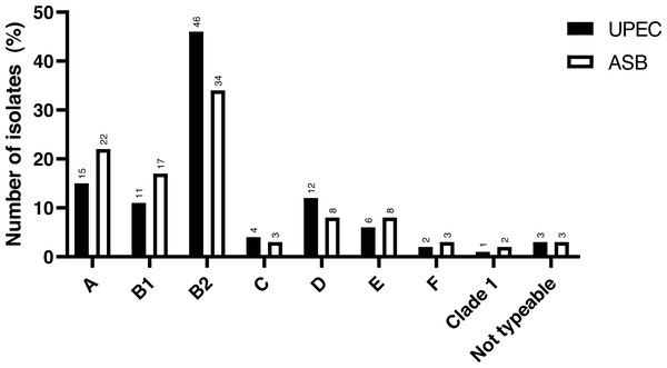 Distribution of phylogroups among cUTI UPEC and ASB E. coli isolates.