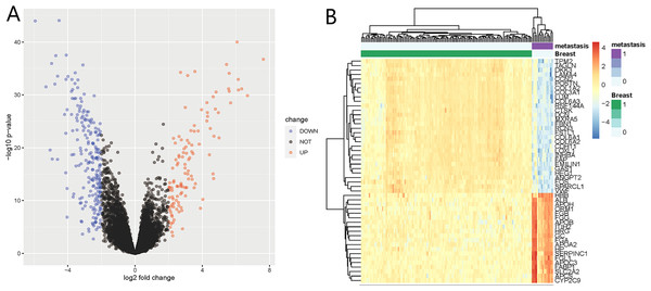 Differentially expressed genes (DEGs) of liver metastasis of breast cancer (BC) identified from GSE124648.