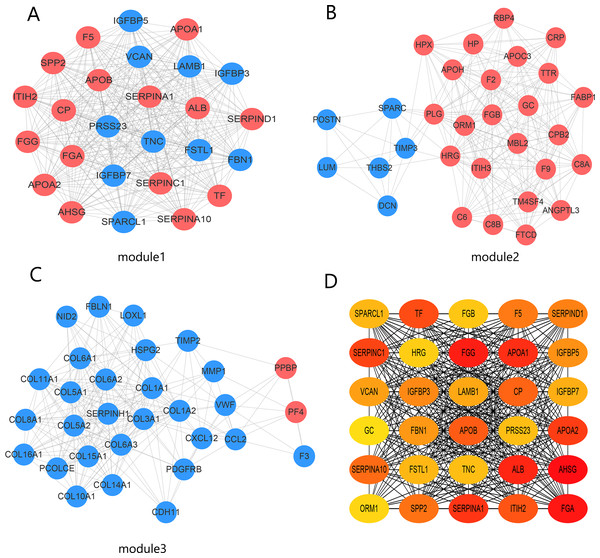 Identification of hub modules and genes from the protein–protein interaction (PPI) network.