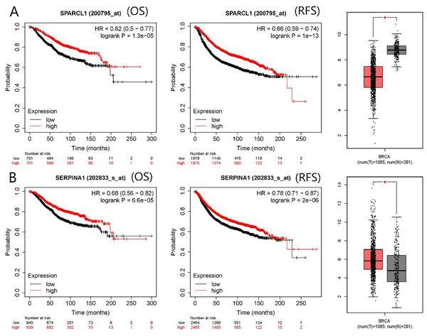 mRNA expression and prognostic value of (A) SPARCL1 and (B) SERPINA1.