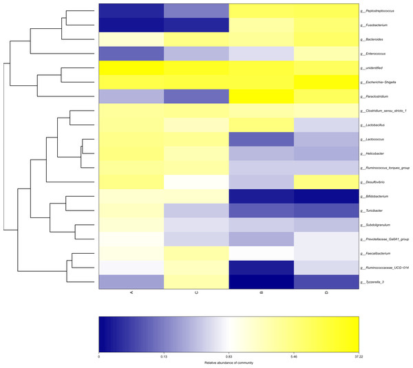 Heatmap depicting the relative abundance of each group of bacterial genera.