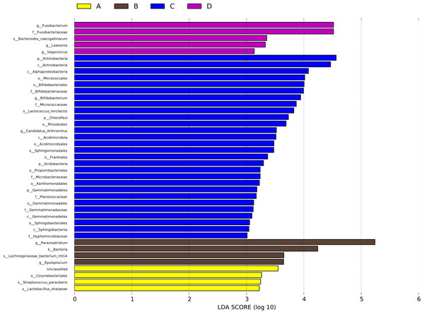 LDA scores obtained from the LEfSe analysis of the gut microbiota in different groups.