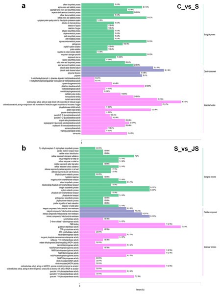 Gene Ontology (GO) enrichment analysis of DEGs in C_vs_S (A) and S_vs_JS (B) groups.