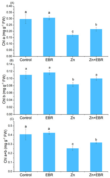 Fffects of EBR on the levels of chlorophyll a (A), chlorophyll b (B), and chlorophyll a+b (C) in watermelon seedling leaves under Zn stress.