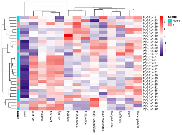 Transcriptome analysis of PgGF14s expression in different tissues of ginseng.