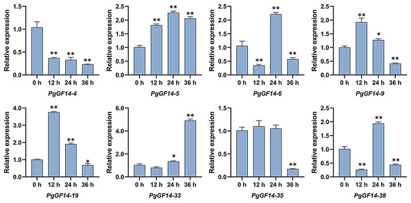 Typical expression patterns of PgGF14s under heat stress with qRT-PCR.