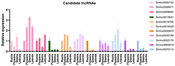 Tissue specificity of lncRNA expression.
